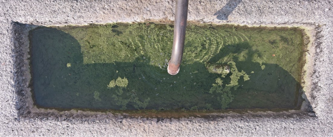 schreibnauten filling the basin