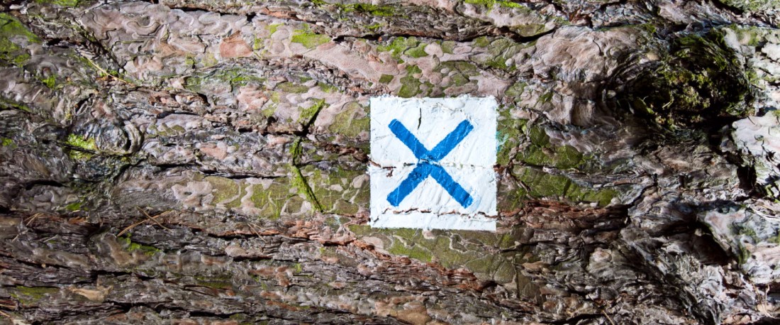 Baumrinde mit einem aufgemaltem rechteckigen Symbol