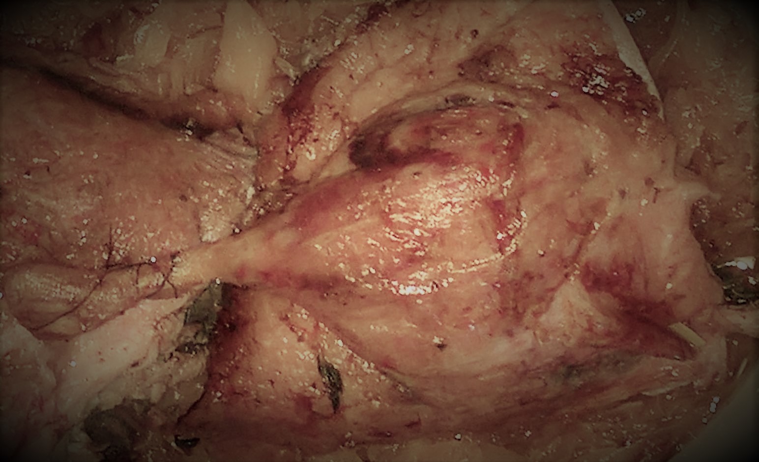 Mahlzeit aus Ente und Gemüse