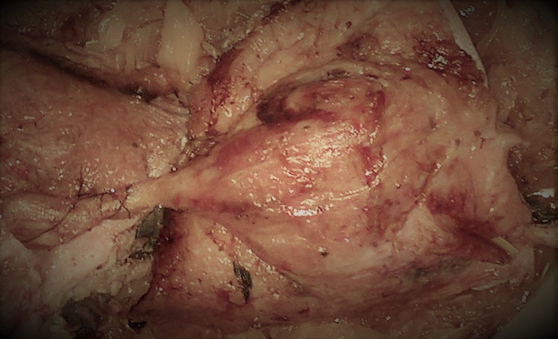 Mahlzeit aus Ente und Gemüse