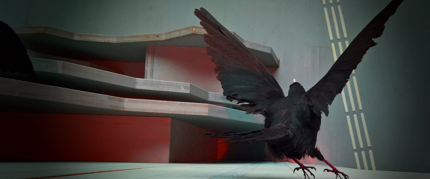 Schwarzer Vogel mit gespreizten Flügeln